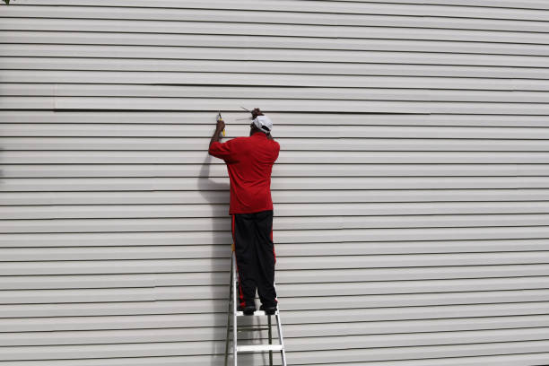 Best Steel Siding Installation  in Hanover, MN